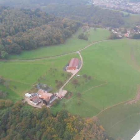 Gite A L'Oree Des Biches Sainte-Marie-aux-Mines Exteriör bild
