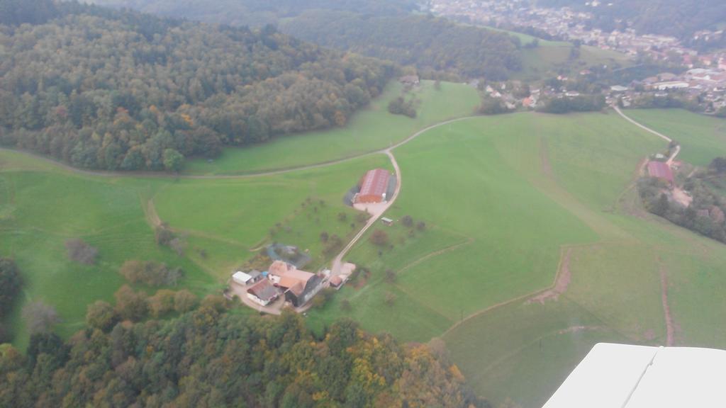 Gite A L'Oree Des Biches Sainte-Marie-aux-Mines Exteriör bild